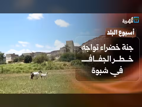 شباب شبوة يحول الخشب إلى مجسمات فنية