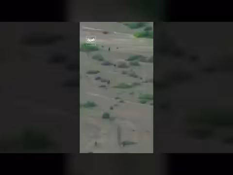 القوات المسلحة اليمنية تستهدف مخازن أسلحة الحوثيين في تعز