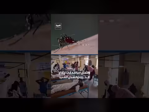 حمى الضنك تحصد 5 أرواح وتسجيل 1400 إصابة في ولاية سنار