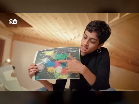الذئاب في ألمانيا: بين الحماية والقتل