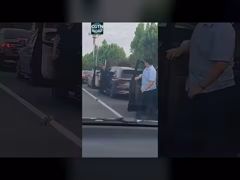 إنقاذ قطة وسط زحام المرور