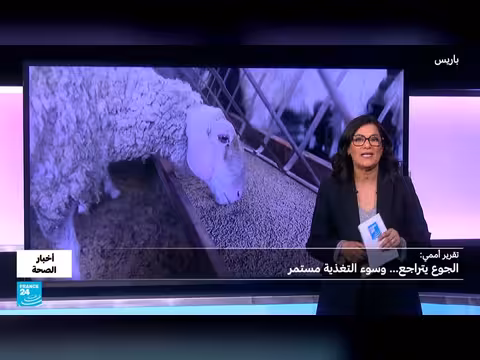 الجوع يتراجع لكن السمنة تزداد