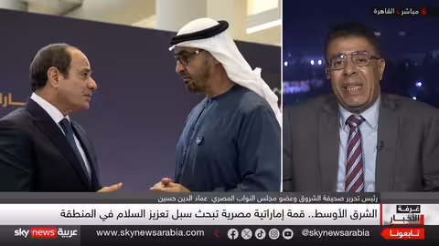 قمة مصرية إماراتية في أبوظبي: تعزيز السلام والتنسيق الإقليمي