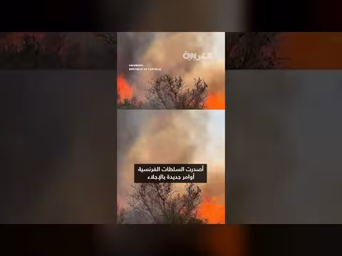 حرائق الغابات تجتاح جنوب غرب أوروبا