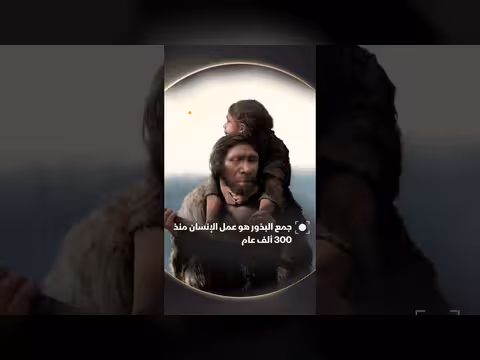 جمع البذور نشاط إنساني عمره ثلاثمئة ألف عام