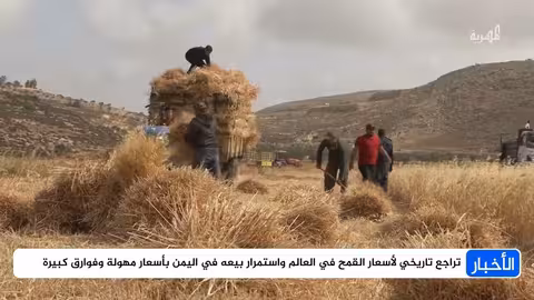 حملة لضبط الأسعار في مأرب وتراجع عالمي لأسعار القمح