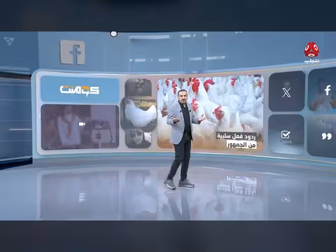 انهيار صادم بسوق الدواجن في صنعاء