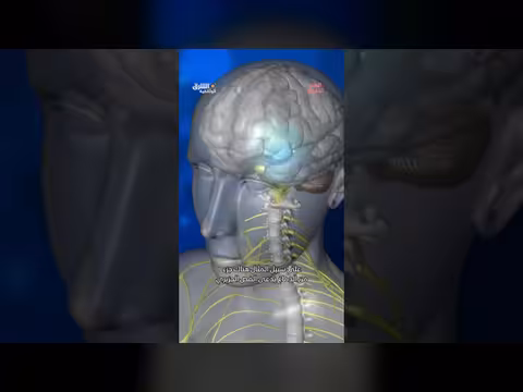فوائد التأمل على الدماغ