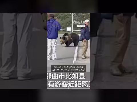 دب يقتحم فندقًا في التبت ويصل إلى غرفة نزلاء