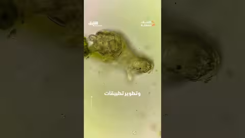 الكائن الخارق الذي لا يموت