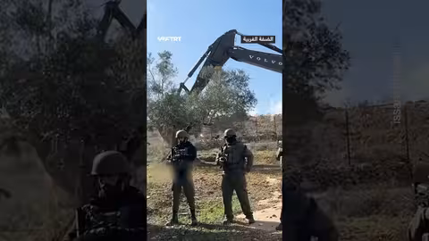 حزن فلسطينية على اقتلاع أشجار الزيتون في قريوت