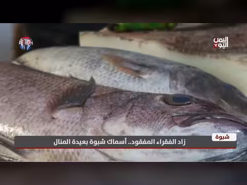 شبوة | زاد الفقراء المفقود وأسماك المنطقة بعيدة المنال