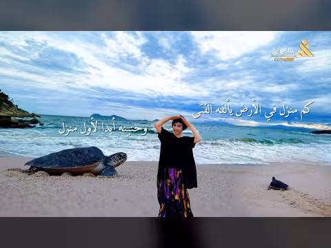 طريق العودة له موعد في خليج السلاحف البحرية