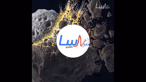حصاد الساحة العلمية 12