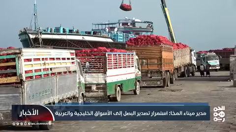 مدير ميناء المخا: استمرار تصدير البصل إلى الأسواق الخليجية والعربية
