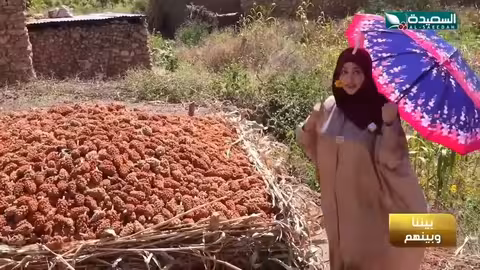 شاهد مايا العبسي وهي تقوم بتحميص البن في هرر بأثيوبيا طائر السعيدة7، رمضان، السعيدة