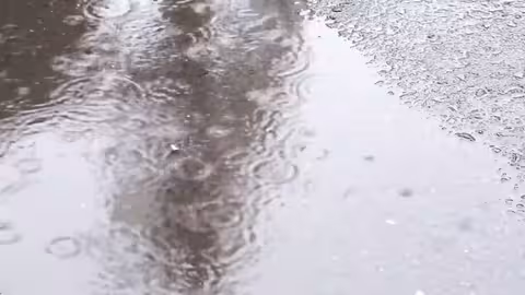 مطر والضبا بينه أيوب طارش