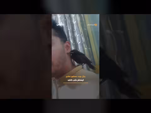شخص وجد عصفوراً صغيراً