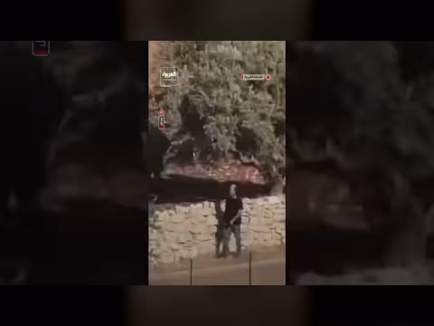 مستوطنون يطلقون مواشيهم في أراضي برقا شرق رام الله