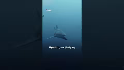قرش يهاجم طفلاً على شاطئ سيدني