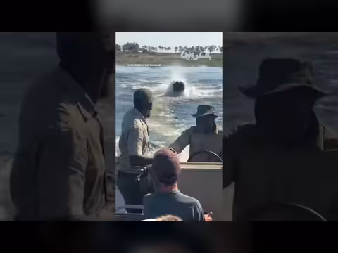فرس نهر يهاجم قارباً سياحياً في بوتسوانا ويجبر ركابه على الهروب