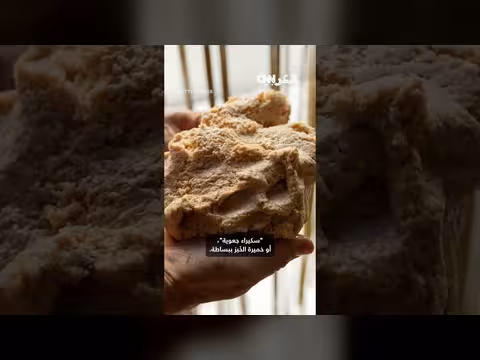 باحثون يحوّلون البلاستيك إلى بسكويت قابل للأكل