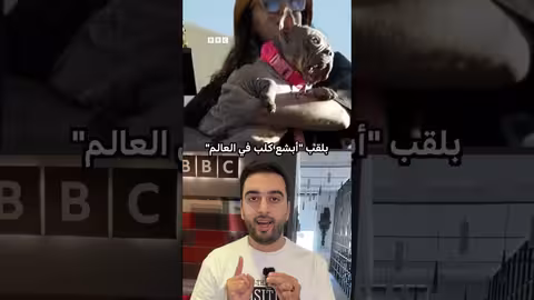 أبشع كلب في العالم: نظرة على سلالة نادرة