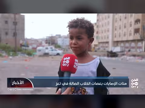 مئات الإصابات بعضات الكلاب الضالة في تعز