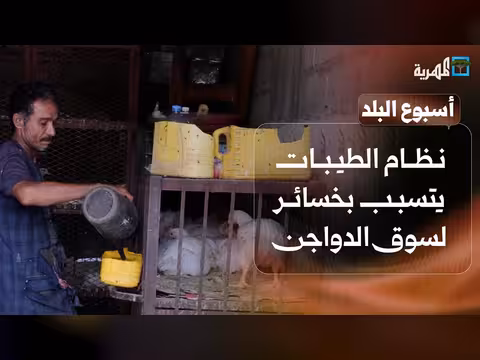 نظام الطيبات يخسر سوق الدواجن وتعز