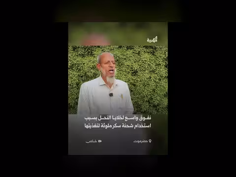 نفوق واسع لخلايا النحل بسبب سكر ملوث