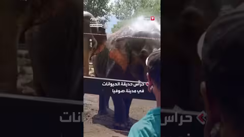 حيوانات حديقة صوفيا تستمتع بالماء في الطقس الحار