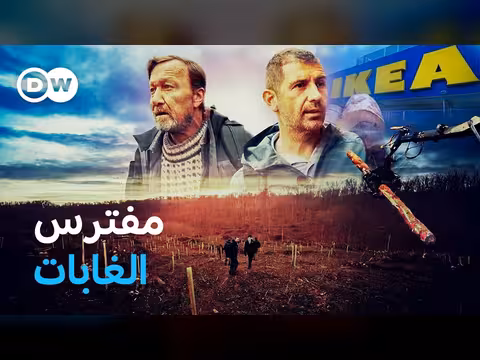 إيكيا ومأساة غابات الكاربات