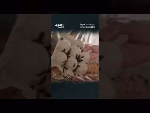منتجة تتحدث عن فوائد البروتين في ديدان الطحين مقارنة بمصادر أخرى