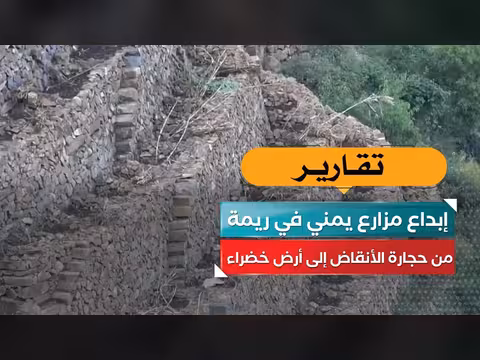 مزارع يمني في ريمة يحوّل حجارة الأنقاض إلى أرض خضراء