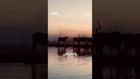 أهوار العراق من أكبر المسطحات المائية