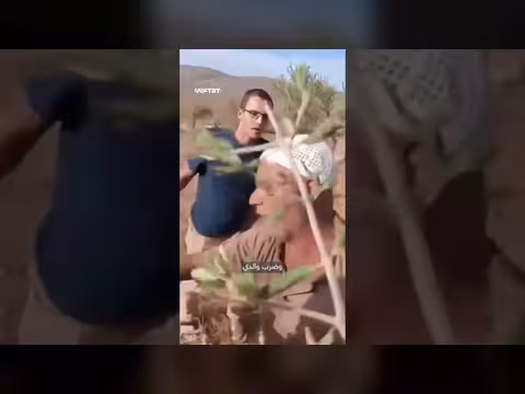 مستوطن إسرائيلي يعتدي على عائلة فلسطينية تجني الزيتون قرب نابلس