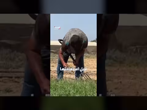 بنك بذور القرارة يحمي إرث غزة الزراعي ويمنح المزارعين أملا