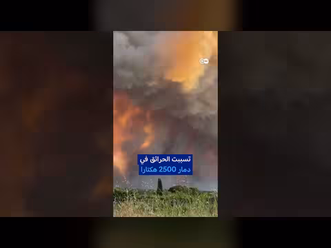 حرائق غابات شاملة تضرب الجزائر وإسبانيا وفرنسا