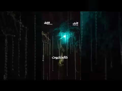 كهوف مظلمة مسكونة بمخلوقات مضيئة مفترسة