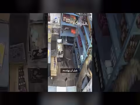 نمر يهاجم بائعًا في متجر للمشروبات الكحولية في الهند