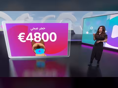 قط جزائري يواجه الترحيل من بلجيكا بسبب أوراقه الصحية