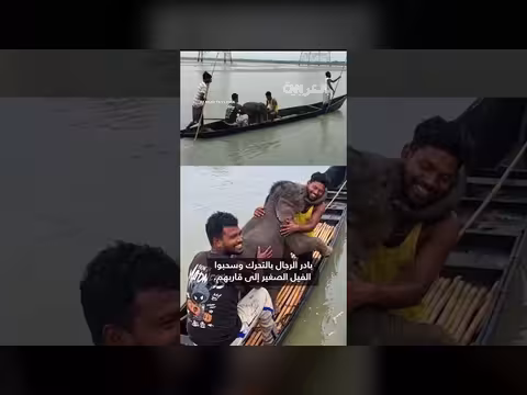 أنثى فيل تعانق صغيرها بعد إنقاذه من نهر في الهند