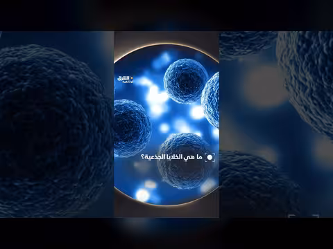 الخلايا الجذعية: دورها في تجديد الأنسجة والعلاج