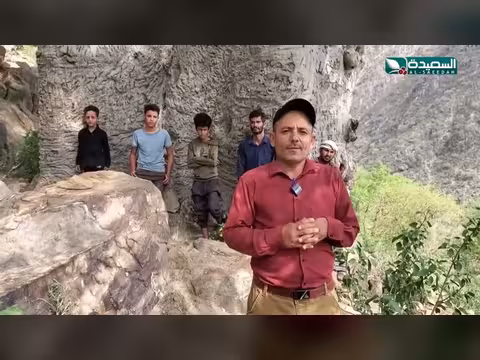 شجرة عمرها 1200 عام في الضالع