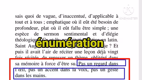 1bac le dernier jour d un condamné chapitre 28,29 et 30 lecture les figures de style