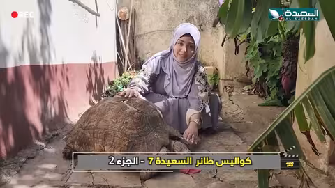 سلحفة مع مايا العبسي عمرها 150سنة كواليس الإنتاج، طائر السعيدة7