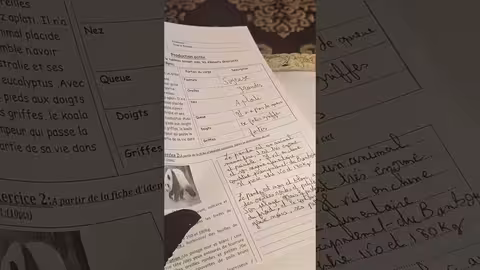 1ère année collège évaluation N4 deuxième semestre la production écrite décrire un animal وصف حيوان