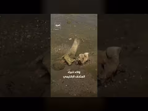 انخفاض تاريخي في نهر الدانوب يكشف بقايا ماموث