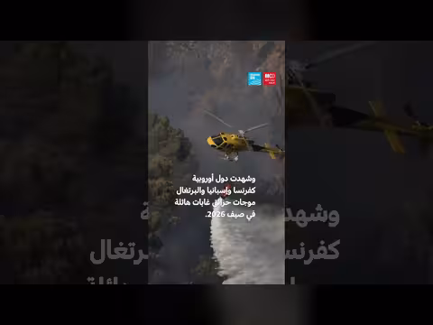 ما الذي يحدث للأرض بعد حرائق الغابات؟