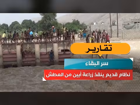 نظام قديم ينقذ زراعة أبين من العطش